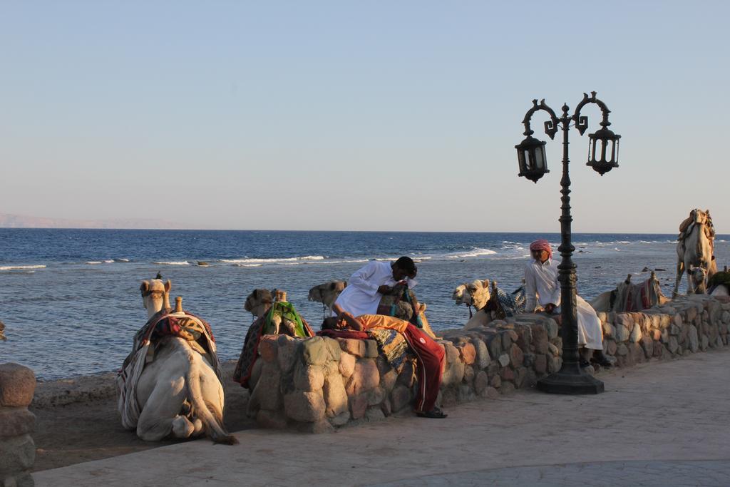 La Reine Dahab Hotel Buitenkant foto